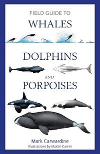 Cover image for Field Guide to Whales, Dolphins and Porpoises