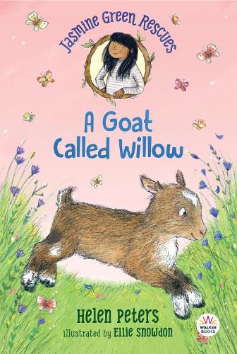 Cover image for Jasmine Green Rescues: A Goat Called Willow