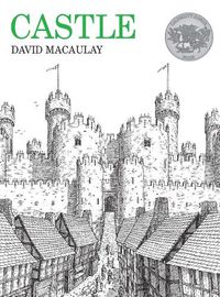 Cover image for Castle