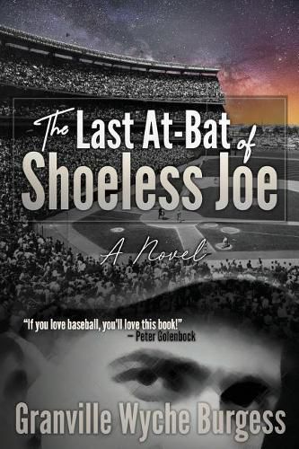 Cover image for The Last At-Bat of Shoeless Joe