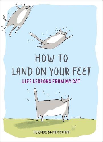 Cover image for How to Land on Your Feet: Life Lessons from My Cat