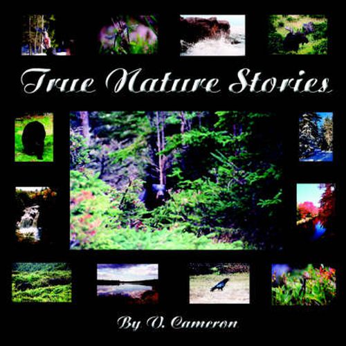 Cover image for True Nature Stories