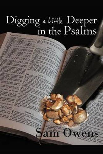 Cover image for Digging A Little Deeper in the Psalms: A Book of Biblical Inspiration