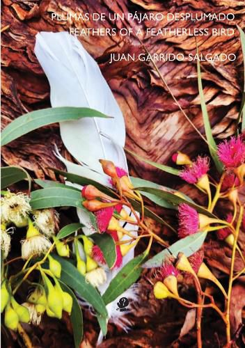 Cover image for Feather of a Featherless Bird