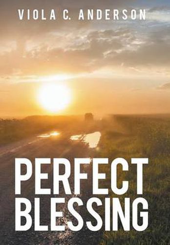 Cover image for Perfect Blessing