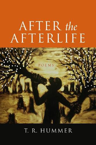 Cover image for After the Afterlife - Poems