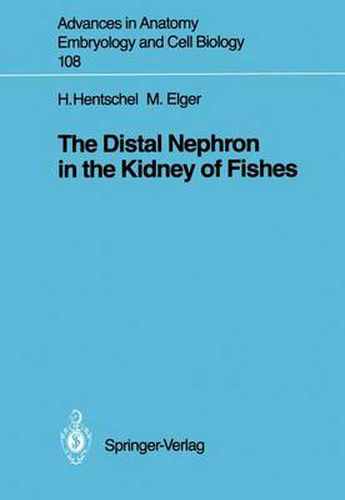 Cover image for The Distal Nephron in the Kidney of Fishes