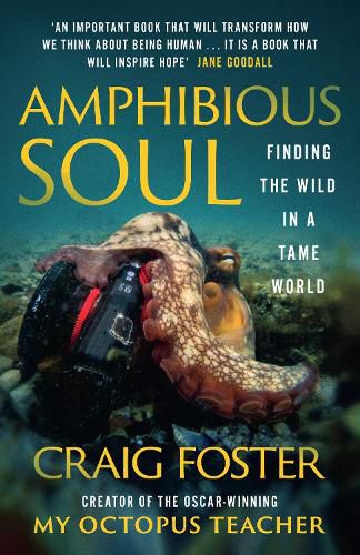 Cover image for Amphibious Soul