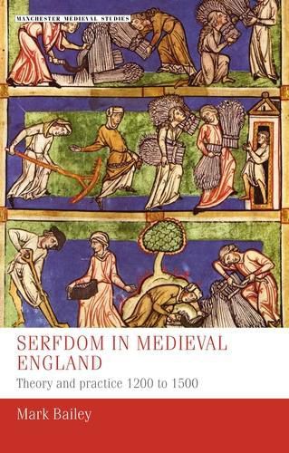 Cover image for Serfdom in Medieval England