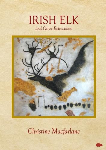 Cover image for Irish Elk and Other Extinctions