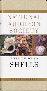 Cover image for National Audubon Society Field Guide to Shells: North America