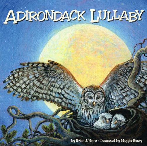 Cover image for Adirondack Lullaby