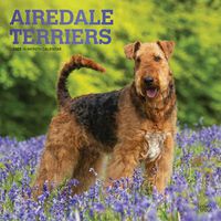 Cover image for Airedale Terriers 2023 Square Foil