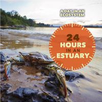 Cover image for 24 Hours in an Estuary