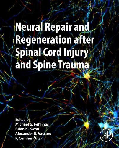 Cover image for Neural Repair and Regeneration after Spinal Cord Injury and Spine Trauma