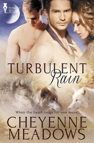 Cover image for Turbulent Rain