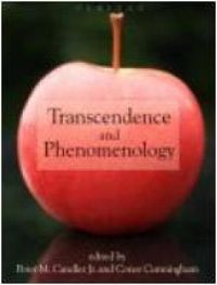 Cover image for Transcendence and Phenomenology