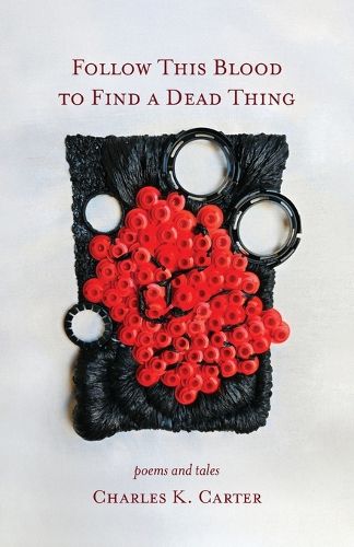 Cover image for Follow This Blood to Find a Dead Thing