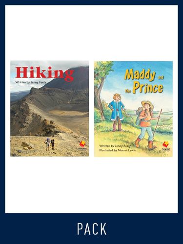 Cover image for Flying Start Guided Reading Pack Level 11, Pack 5: Paired student books (6x6) and lesson plan (1)