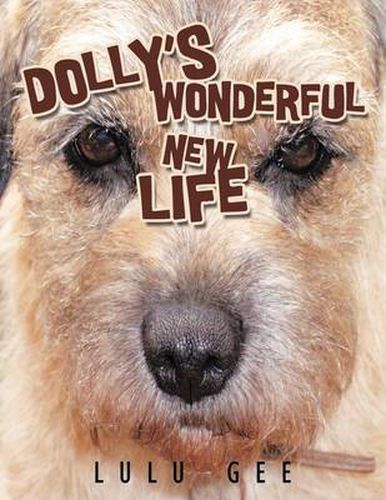 Cover image for Dolly's Wonderful New Life