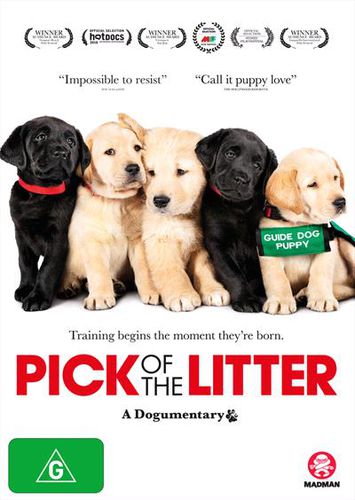 Cover image for Pick of the Litter (DVD)