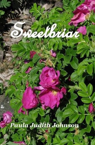 Cover image for Sweetbriar