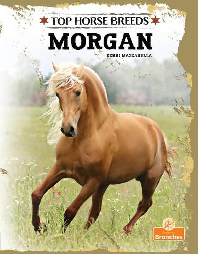 Cover image for Morgan