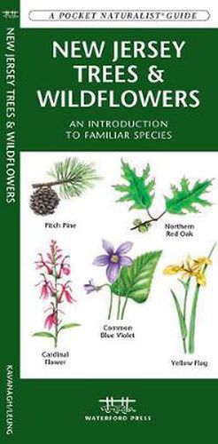 Cover image for New Jersey Trees & Wildflowers: A Folding Pocket Guide to Familiar Species