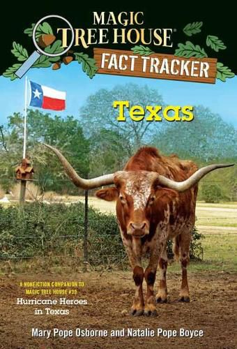 Cover image for Texas