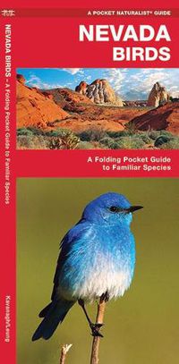 Cover image for Nevada Birds: A Folding Pocket Guide to Familiar Species