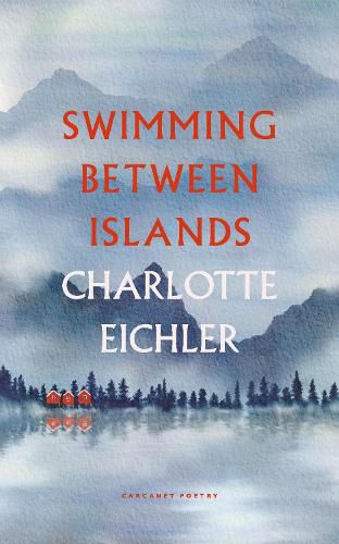 Cover image for Swimming Between Islands