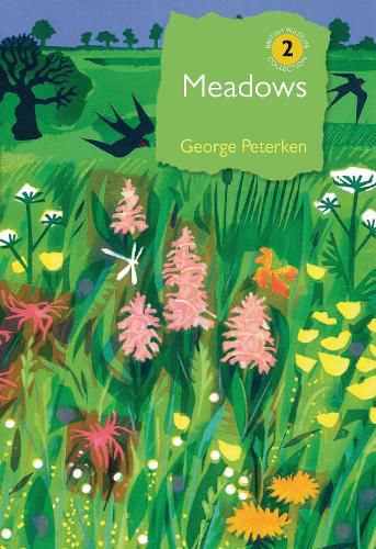 Cover image for Meadows