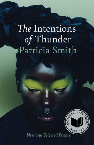 Cover image for The Intentions of Thunder