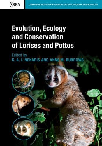 Cover image for Evolution, Ecology and Conservation of Lorises and Pottos