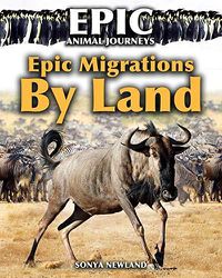 Cover image for Epic Migrations by Land