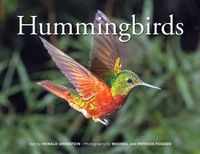 Cover image for Hummingbirds