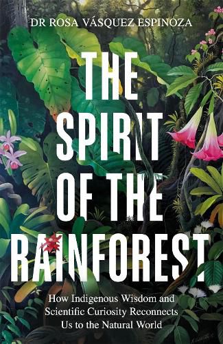 Cover image for The Spirit of the Rainforest
