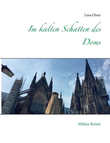 Cover image for Im kalten Schatten des Doms: Milieu-Krimi