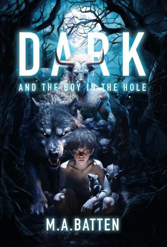 Cover image for Dark