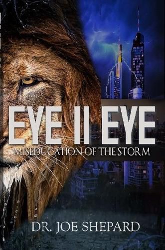 Cover image for Eye II Eye: Miseducation of the Storm