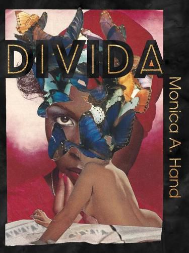 Cover image for Divida