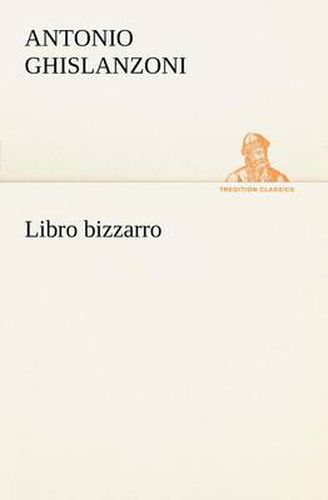Cover image for Libro bizzarro