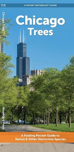 Chicago Trees: A Folding Pocket Guide to Familiar Plants