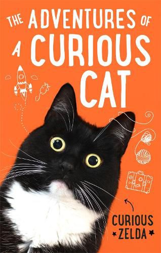 Cover image for The Adventures of a Curious Cat: wit and wisdom from Curious Zelda, purrfect for cats and their humans