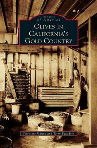 Cover image for Olives in California's Gold Country