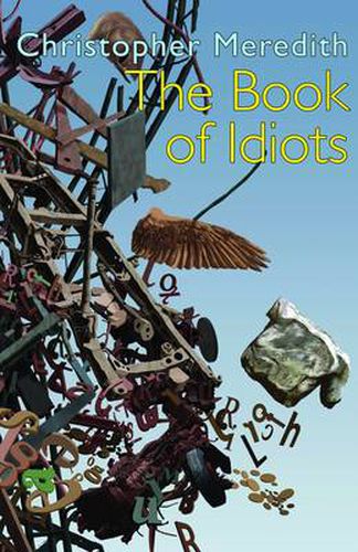 Cover image for The Book of Idiots