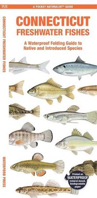 Cover image for Connecticut Freshwater Fishes