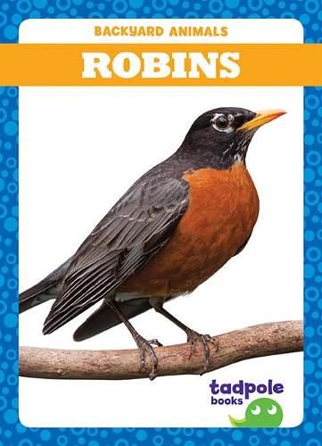 Robins