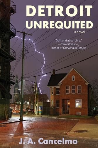 Cover image for Detroit Unrequited