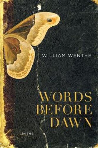 Cover image for Words Before Dawn: Poems